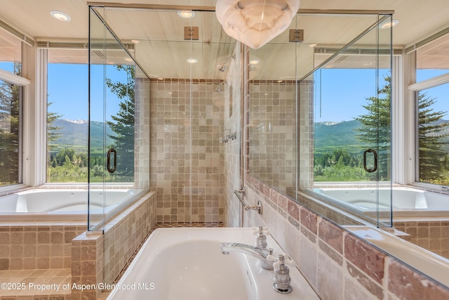 175 White Horse Springs Rd, Aspen, CO 81611 - photo 31