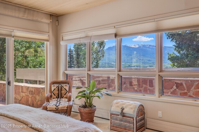 175 White Horse Springs Rd, Aspen, CO 81611 - photo 35