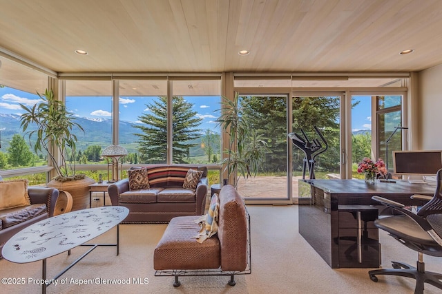 175 White Horse Springs Rd, Aspen, CO 81611 - photo 30