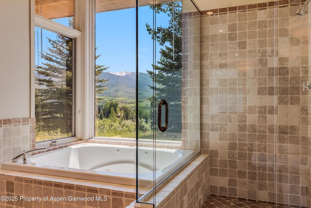 175 White Horse Springs Rd, Aspen, CO 81611 - photo 33