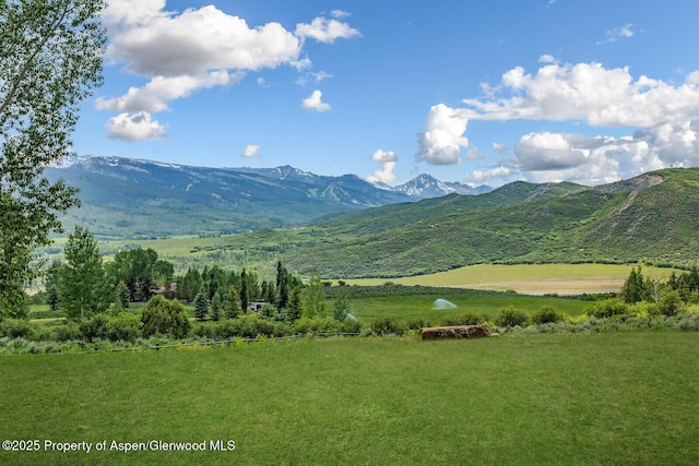175 White Horse Springs Rd, Aspen, CO 81611 - photo 42