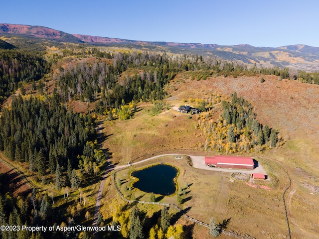 aerial view featuring a mountain view