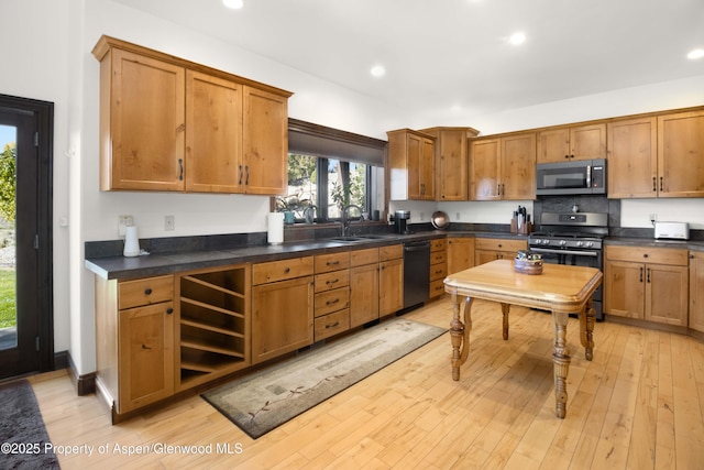 kitchen featuring stainless steel appliances, light hardwood / wood-style flooring, and sink