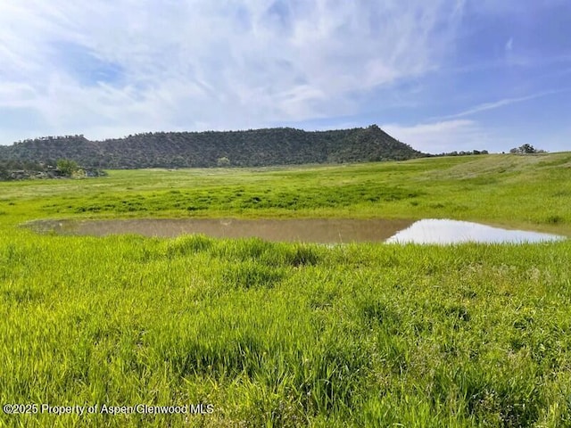 6526 County Road 331, Silt, CO 81652 - photo 3