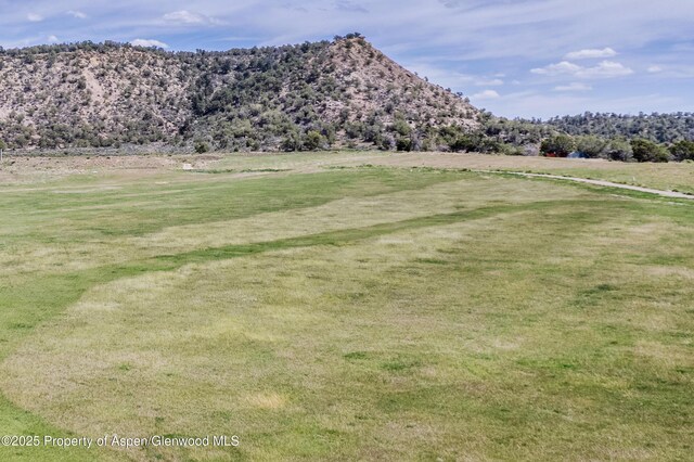 6526 County Road 331, Silt, CO 81652 - photo 21