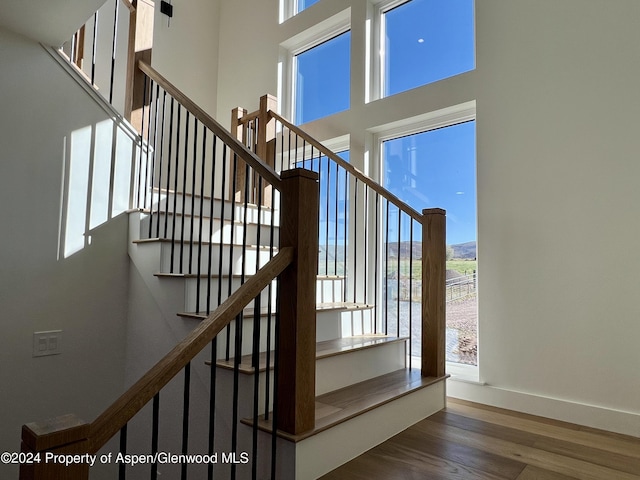 stairway featuring wood-type flooring and a healthy amount of sunlight