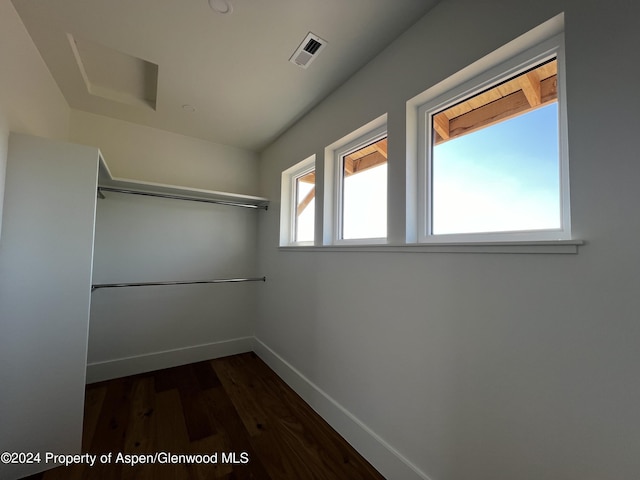 spacious closet featuring dark hardwood / wood-style flooring