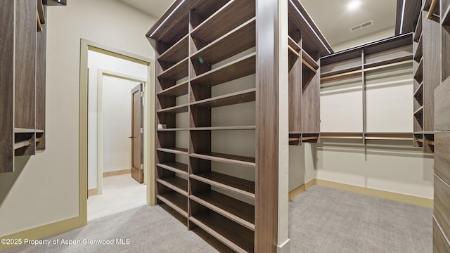148 Laird Ln, Glenwood Springs, CO 81601 - spacious closet with carpet