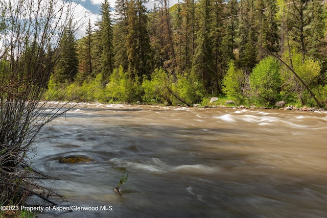 176 Letey Ln, Woody Creek, CO 81656 - view of woods
