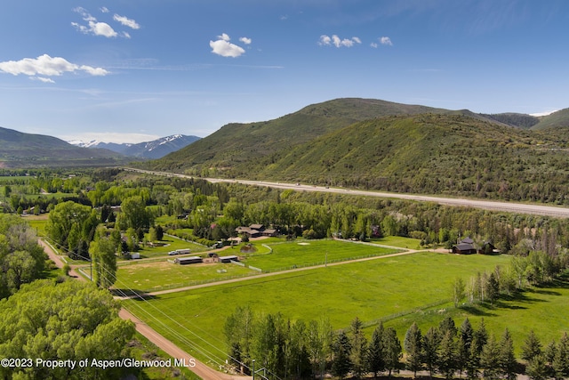 176 Letey Ln, Woody Creek, CO 81656 - mountain view with a heavily wooded area