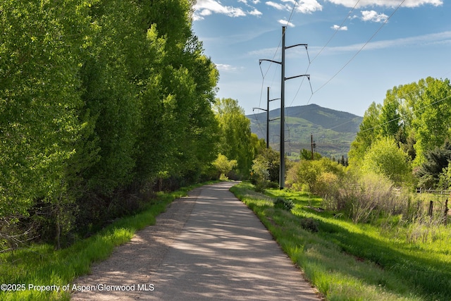176 Letey Ln, Woody Creek, CO 81656 - view of property's community featuring a mountain view