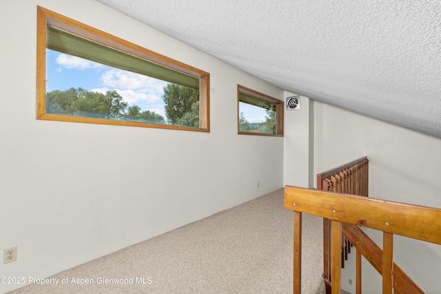 459 N 8th St Unit 459, Carbondale, CO 81623 - photo 9