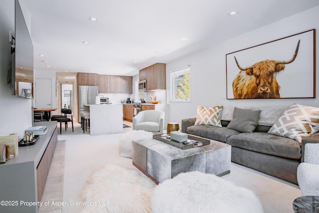 210 E Cooper Ave Unit 3G, Aspen, CO 81611 - living room featuring light colored carpet