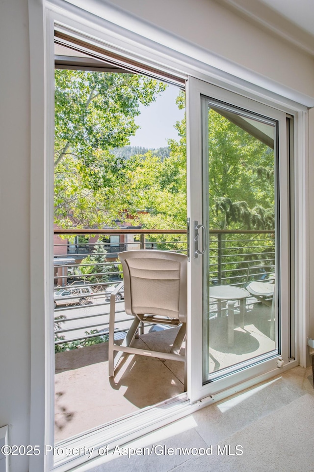 210 E Cooper Ave Unit 3G, Aspen, CO 81611 - view of doorway to outside