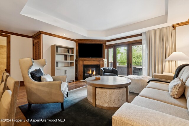 living room with a tray ceiling and dark hardwood / wood-style flooring