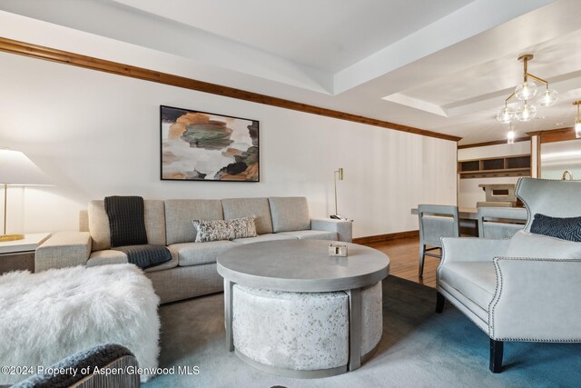 living room featuring a tray ceiling and dark wood-type flooring