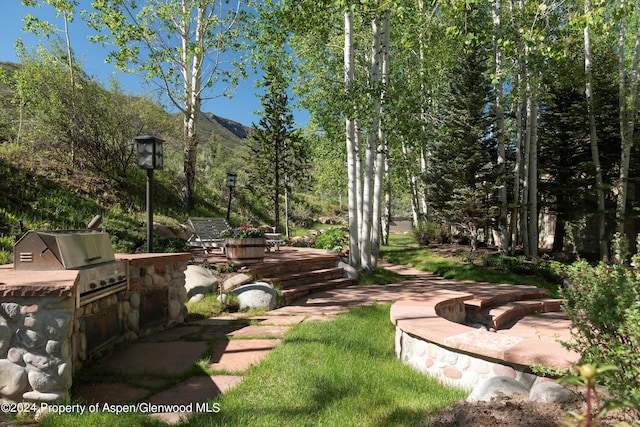 view of yard with a mountain view and area for grilling