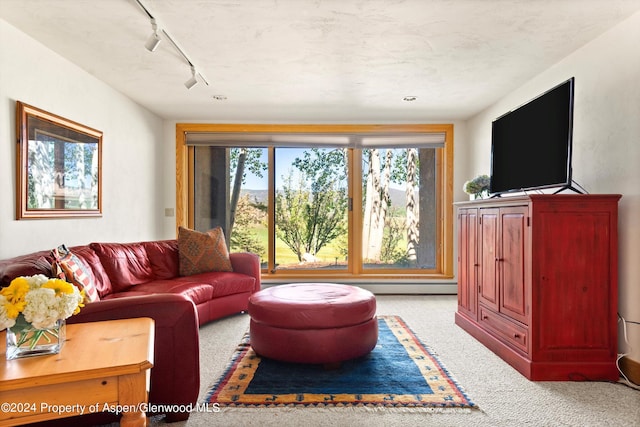 carpeted living room with track lighting