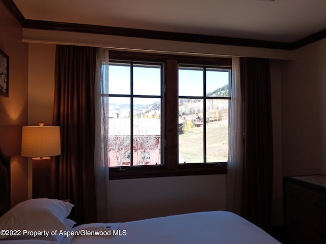 bedroom featuring a mountain view