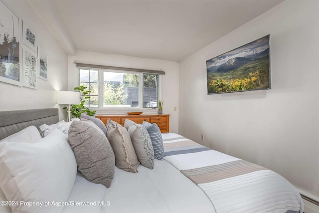 210 E Cooper Ave Unit 1C, Aspen, CO 81611 - photo 8