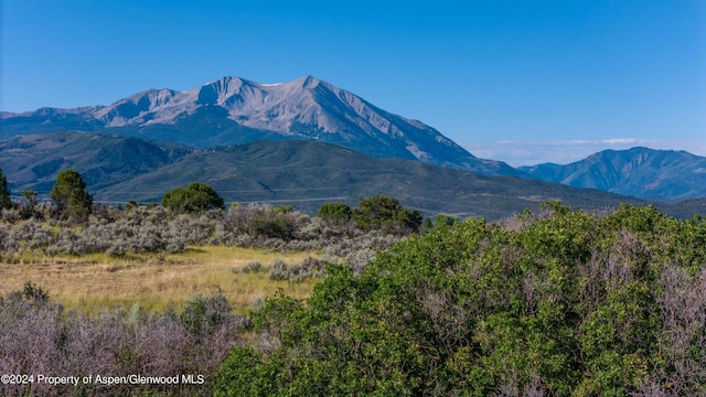 TBD County Rd Unit 102, Carbondale CO, 81623 land for sale