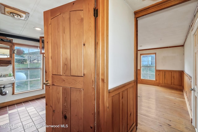 hall featuring wainscoting, wood walls, light wood-style floors, and crown molding