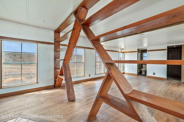 interior space with hardwood / wood-style flooring, baseboards, and plenty of natural light