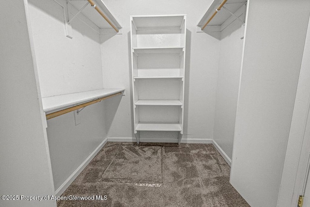 627 Lake St, Rangely, CO 81648 - spacious closet with carpet floors