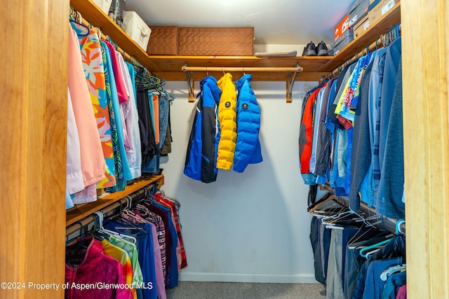 walk in closet with carpet floors