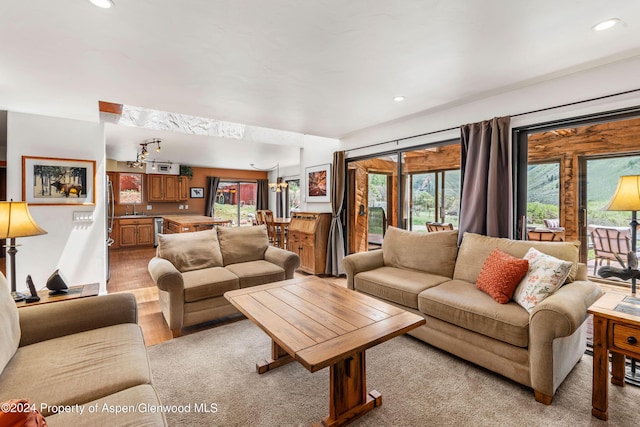 living room with sink