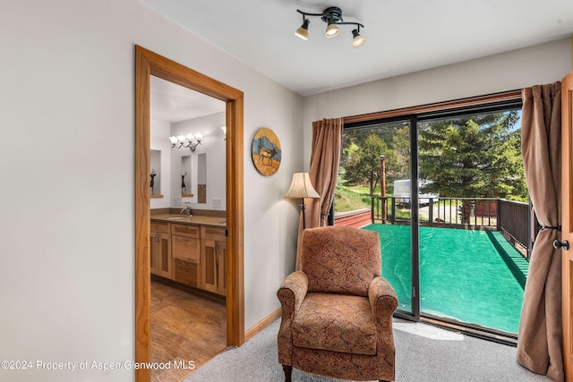 living area featuring carpet flooring and sink