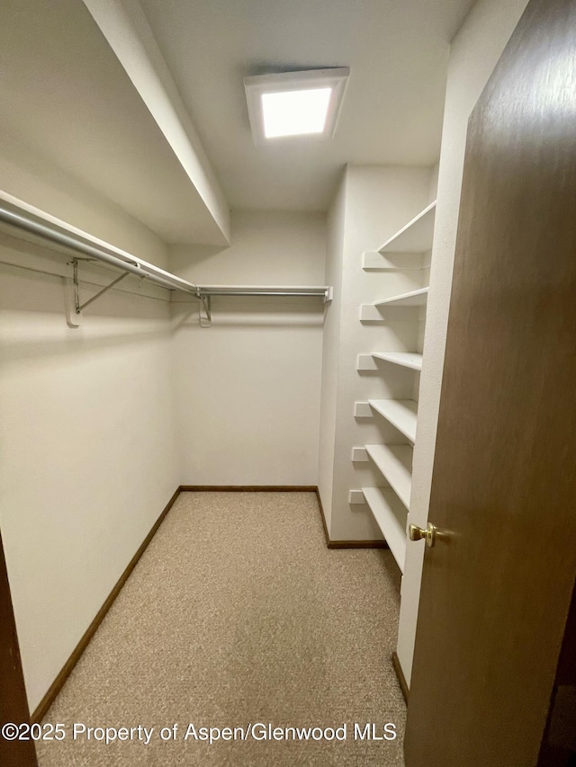 6616 High Dr, Morrison, CO 80465 - walk in closet with carpet floors