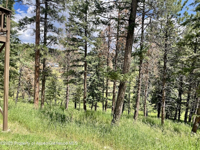 6616 High Dr, Morrison, CO 80465 - view of tree filled area