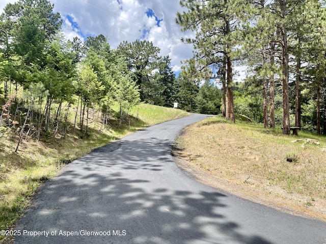 6616 High Dr, Morrison, CO 80465 - view of street