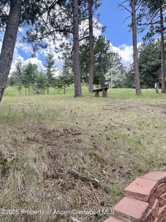 6616 High Dr, Morrison, CO 80465 - view of yard