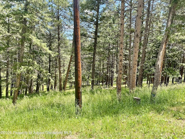 6616 High Dr, Morrison, CO 80465 - view of local wilderness