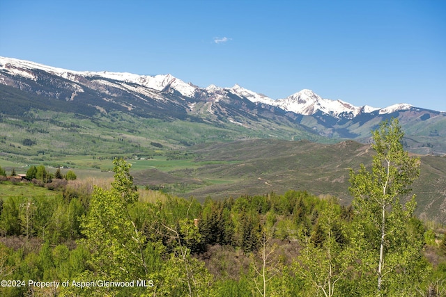 401 Carroll Dr, Aspen, CO 81611 - photo 23