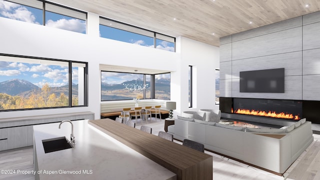 401 Carroll Dr, Aspen, CO 81611 - photo 8