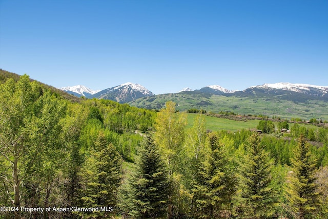 401 Carroll Dr, Aspen, CO 81611 - photo 22