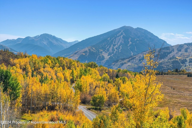 401 Carroll Dr, Aspen, CO 81611 - photo 19