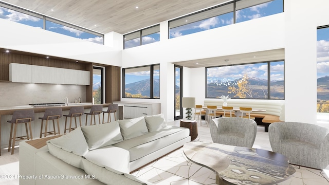 401 Carroll Dr, Aspen, CO 81611 - photo 9