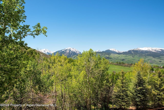 401 Carroll Dr, Aspen, CO 81611 - photo 21