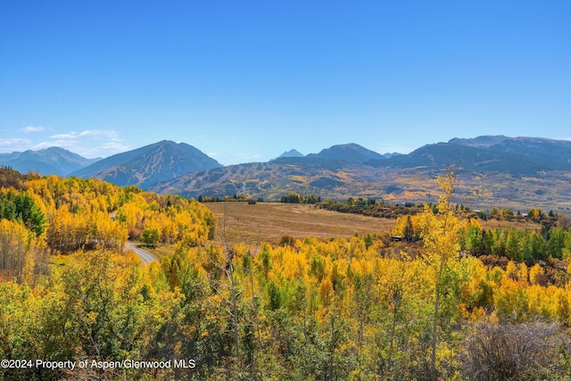 401 Carroll Dr, Aspen, CO 81611 - photo 20