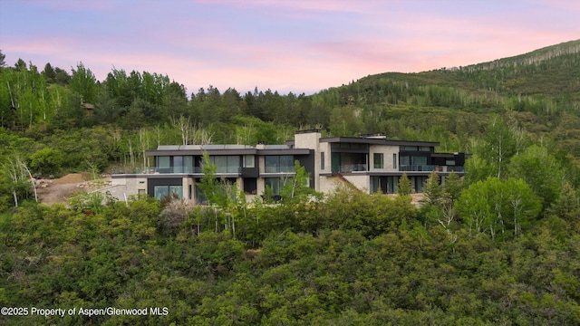 401 Carroll Dr, Aspen, CO 81611 - photo 3