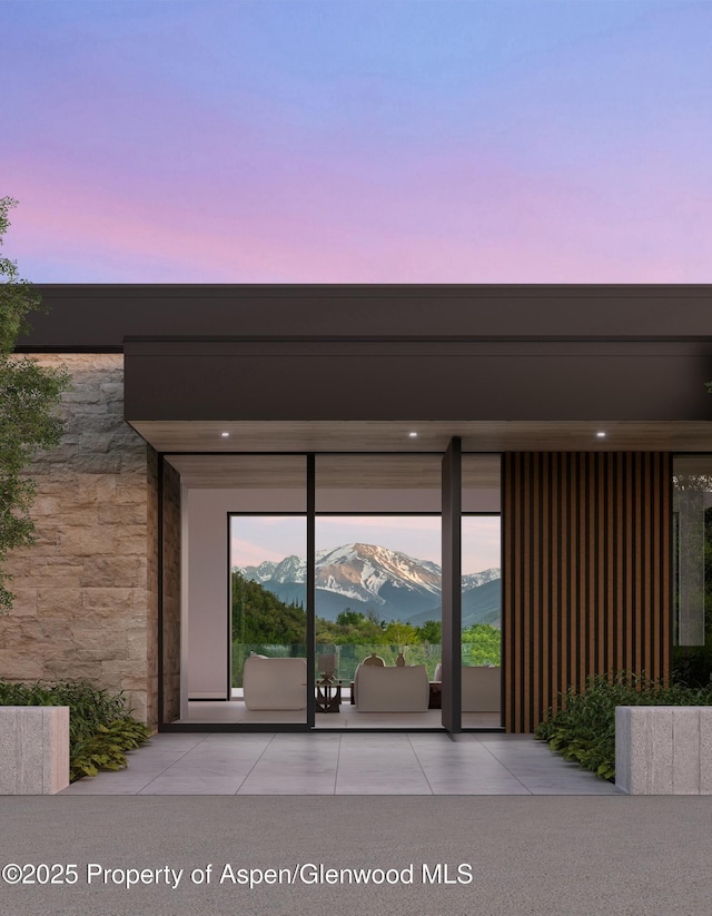 401 Carroll Dr, Aspen, CO 81611 - photo 1