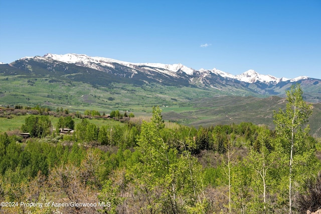 401 Carroll Dr, Aspen, CO 81611 - photo 24