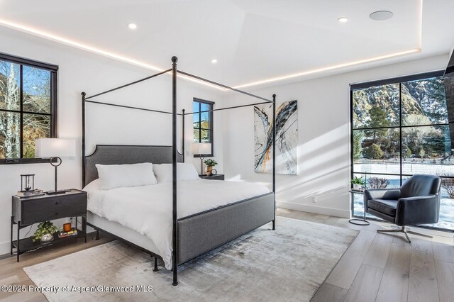 bedroom featuring multiple windows and hardwood / wood-style floors