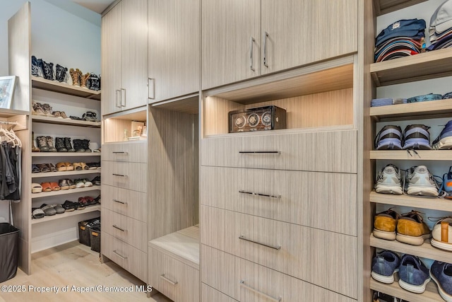 spacious closet with light hardwood / wood-style floors