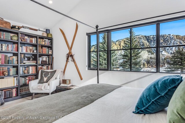 bedroom featuring a mountain view