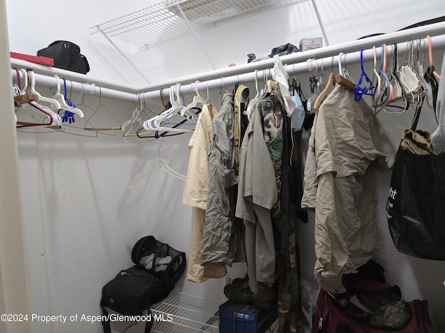 view of spacious closet